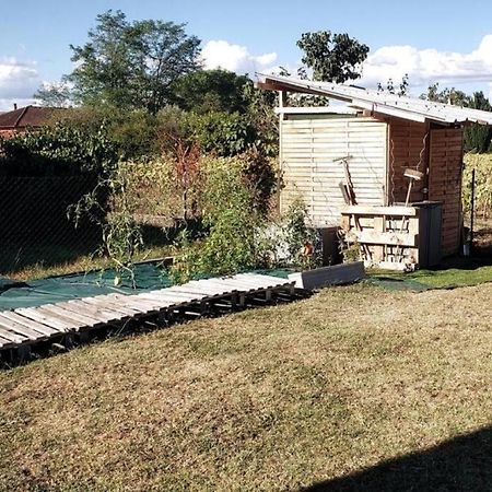 Maison familiale - ménage, serviettes, draps inclus Gaillac Extérieur photo